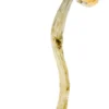Buy Amazonian Shrooms Online Berlin