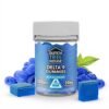 Blue Raspberry Delta 9 THC Gummies