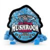 Blue Raspberry Extra-Strength Mushroom Gummies