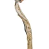 Order Daddy Long Legs Mushrooms For Sale