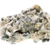 Order Enigma Magic Mushrooms For Sale
