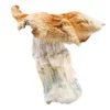 Order Hillbilly Mushrooms For Sale
