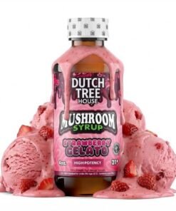 Strawberry Gelato Mushroom Syrup