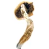 Buy Thai Koh Samui Shrooms Online