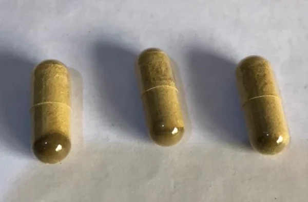 The-perfect-micro-dosing-Caps-Iboga-powder-plus-TA-Australia-600x393-1.webp