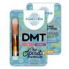 Buy Purecybin DMT Cartridge Online
